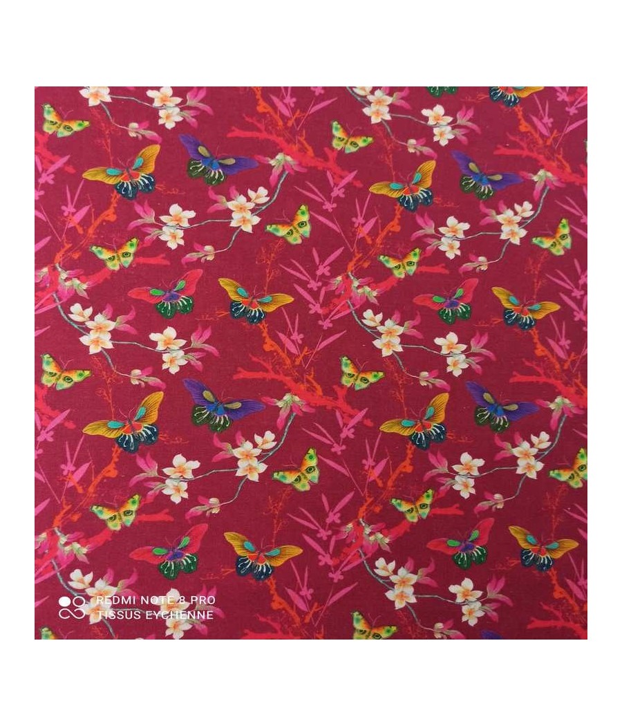 Tissu coton - Papillon...