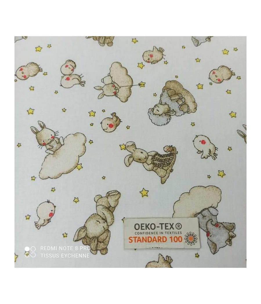 Coton Mouton Nuage