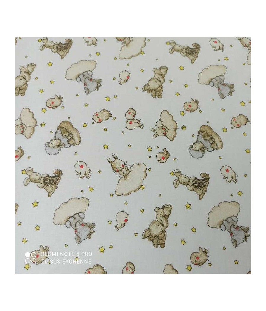 Coton Mouton Nuage
