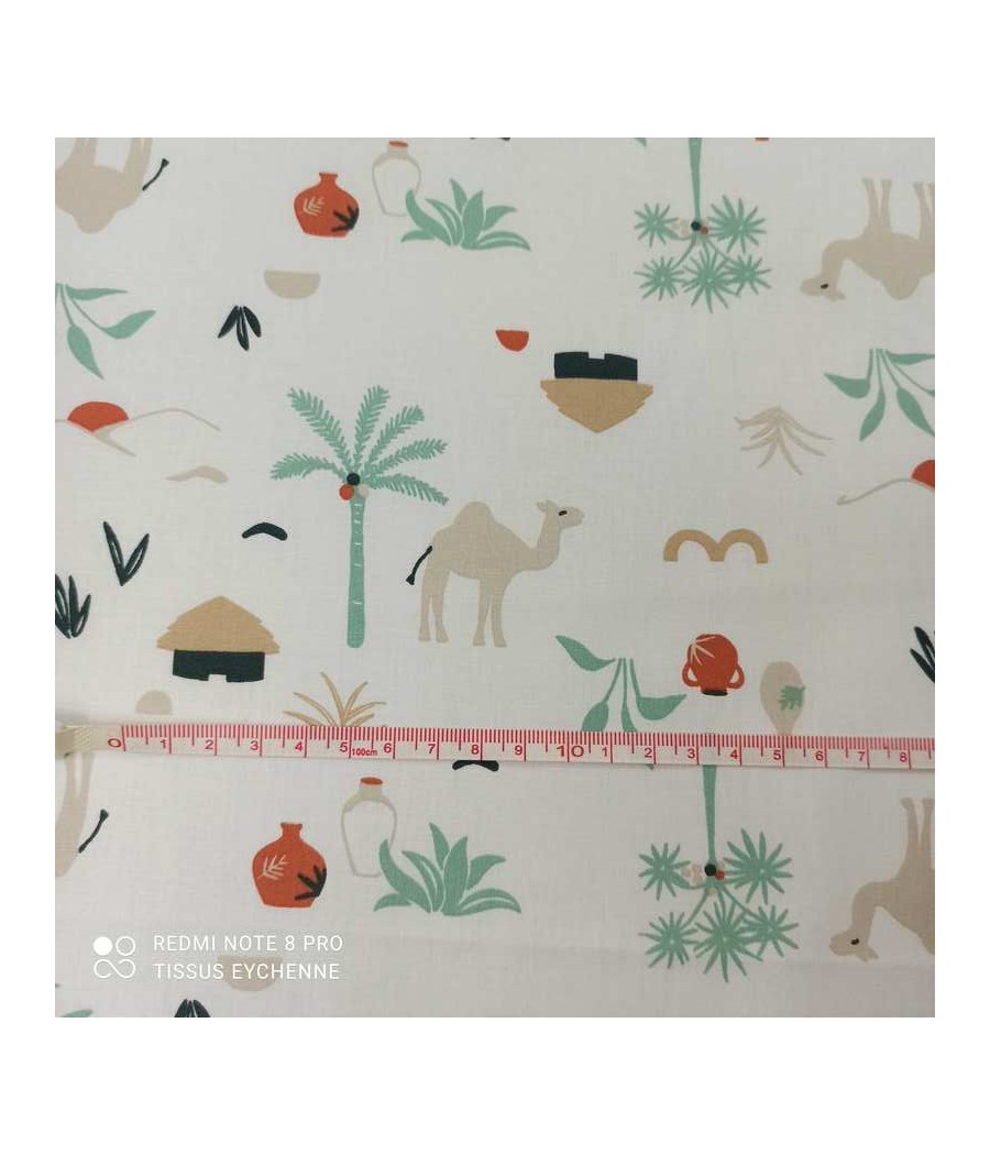 Coton - Oasis Dromadaire