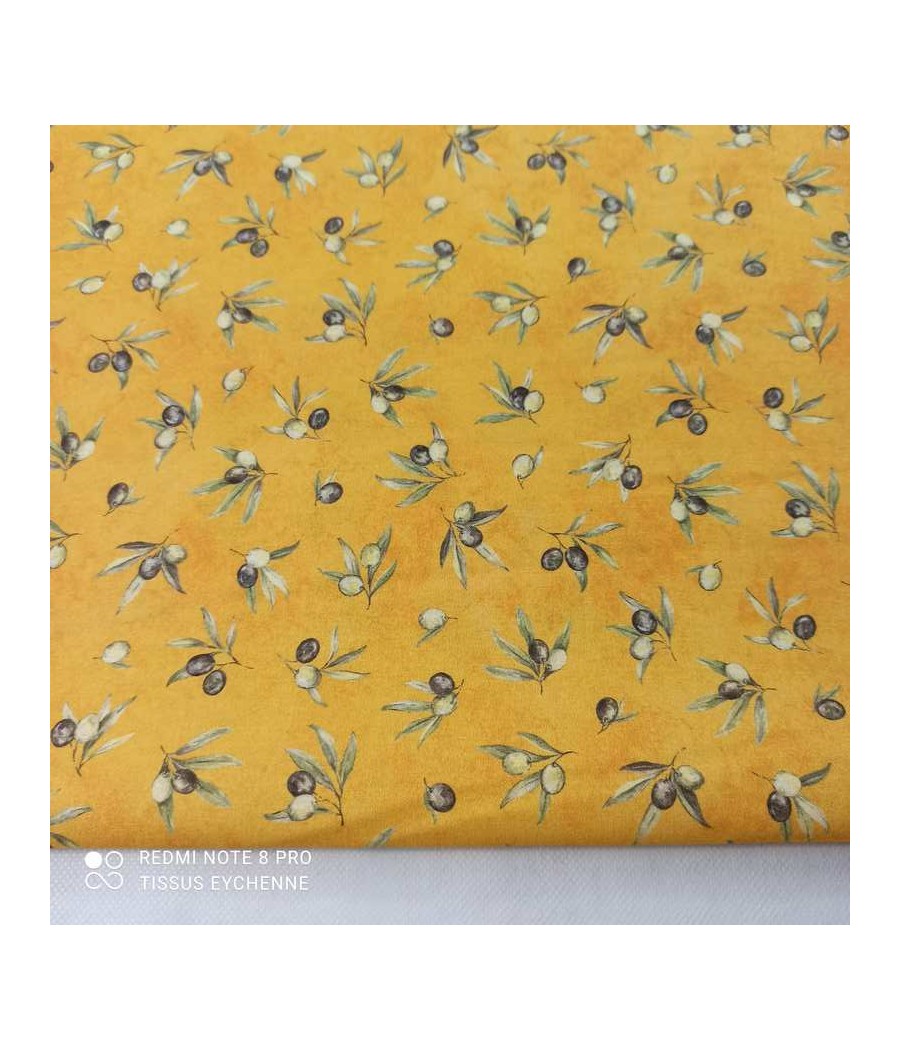 Coton Provençal Olive