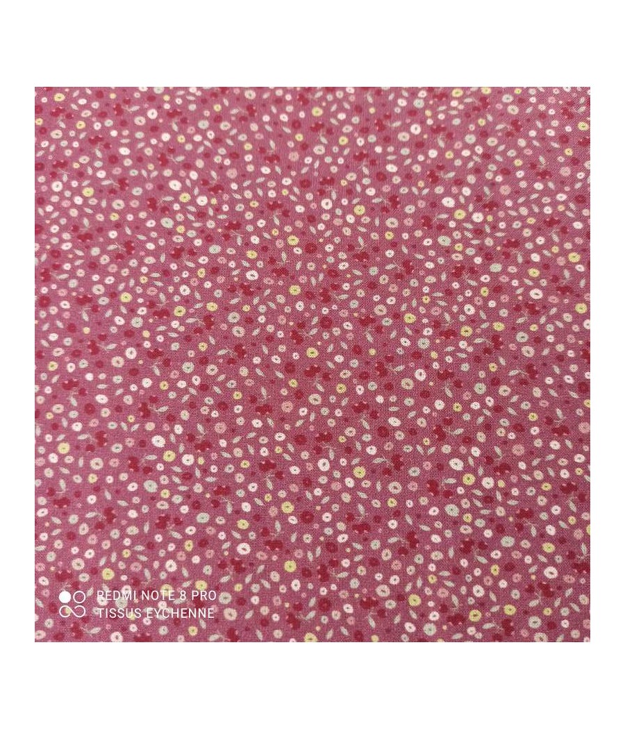 Tissu popeline de coton Bio + Oekotex - mini fleur Lucie - prune