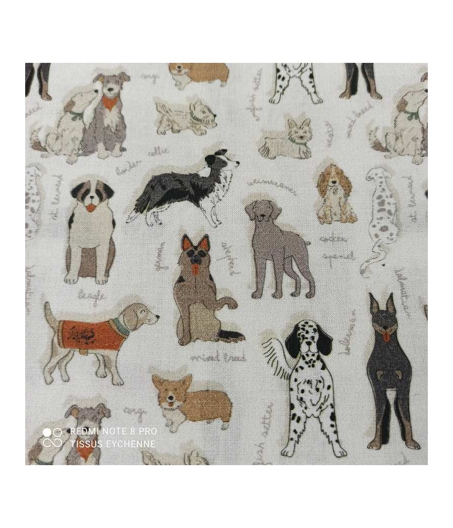Popeline de coton - chien...