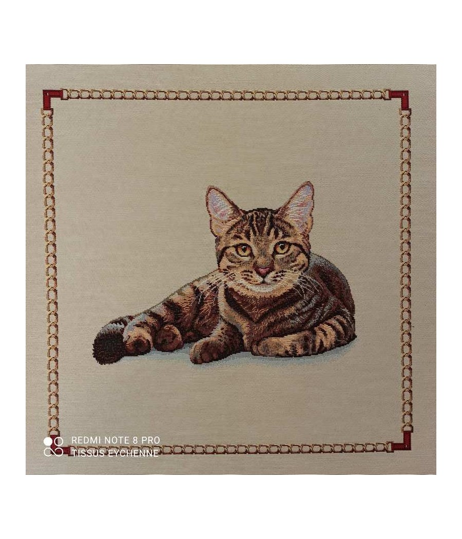 Carré jacquard - 47x47 - chat couché - finition point bourdon