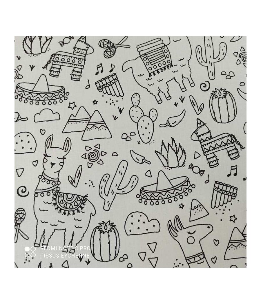 Coton à colorier - Lama...
