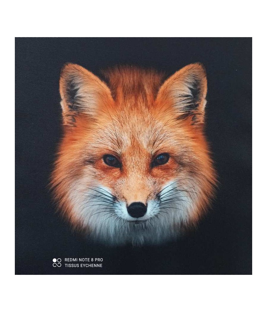 Carré bachette 46x46 - Renard Foxy - finition point bourdon