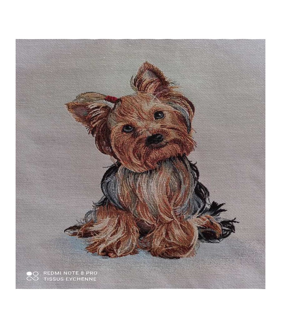 Carré jacquard - 47x47 - chien York - finition point bourdon