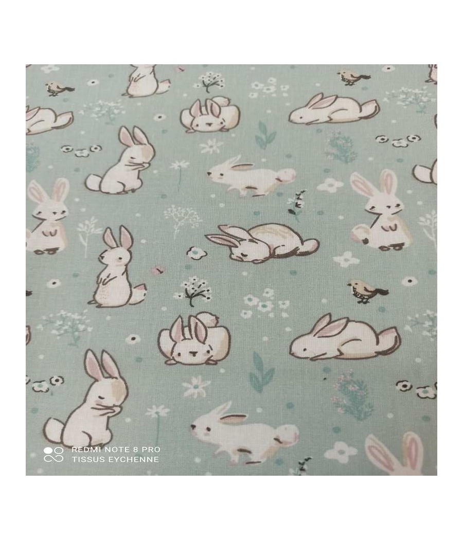 Tissu coton - Lapin Roger - Oekotex - Bleu clair