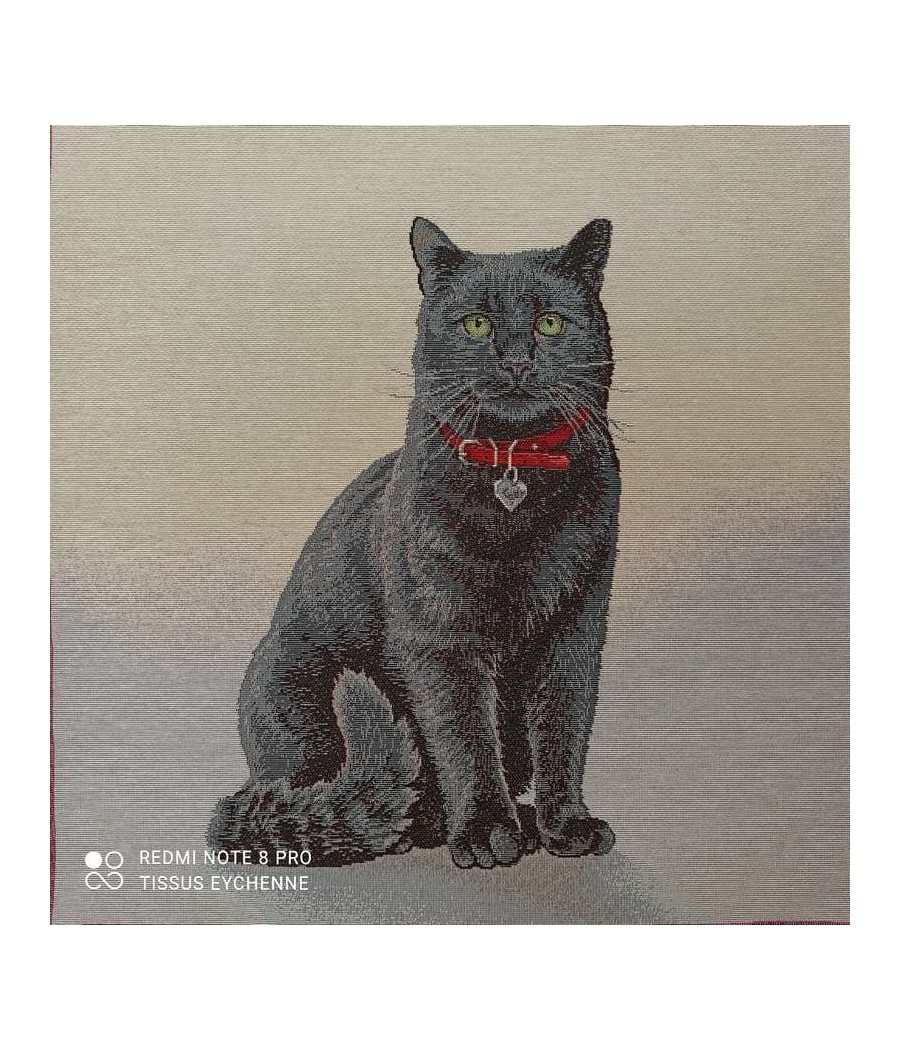 Carré jacquard - 47x47 - Chat noir - finition point bourdon