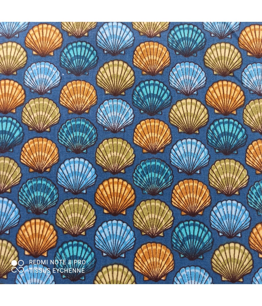 Coton - Coquille ST Jacques...
