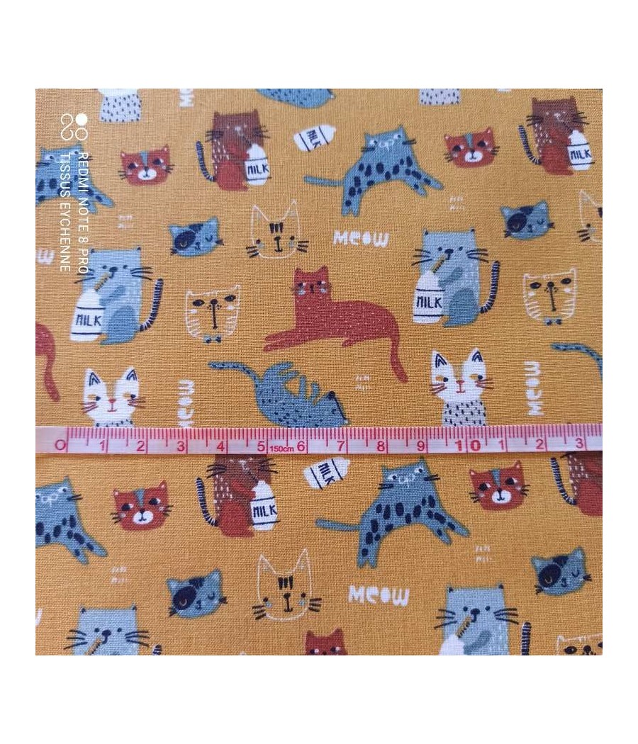 Tissu coton - chaton -...