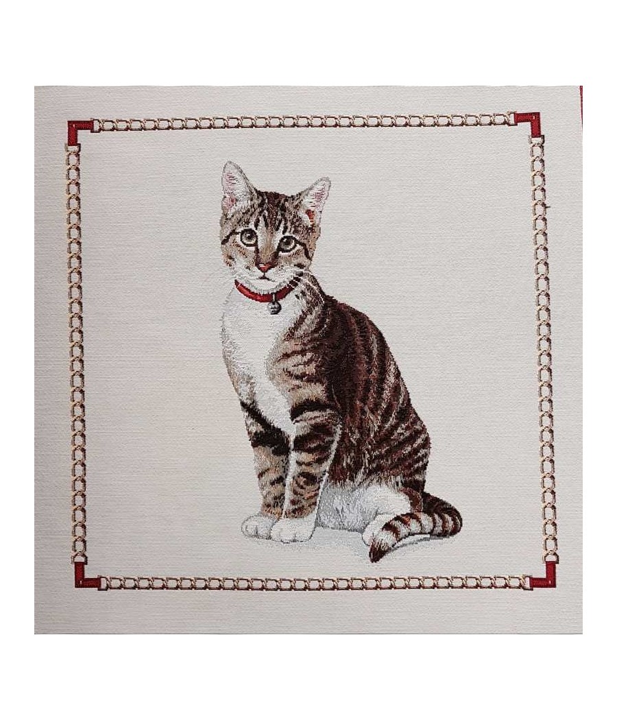 Carré Jacquard - 47X47 - Chat collier rouge - Finition point bourdon