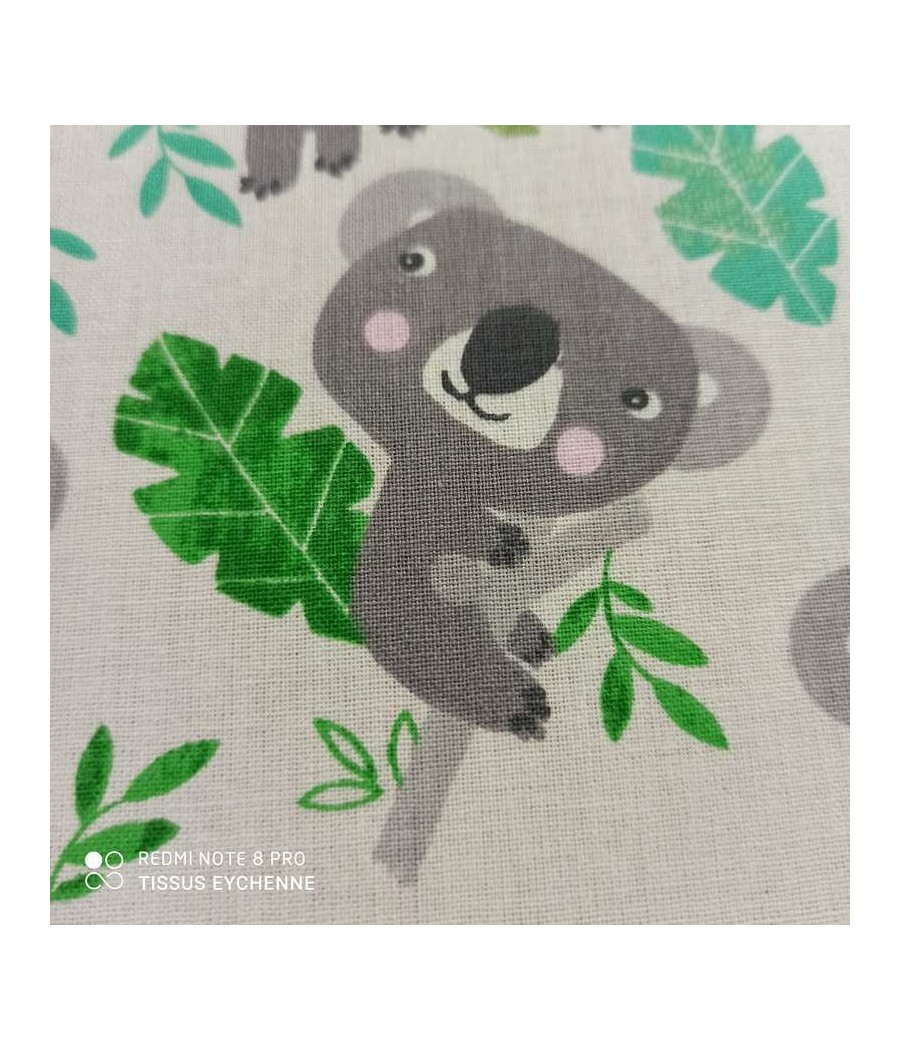 Tissu coton Koala sur branche