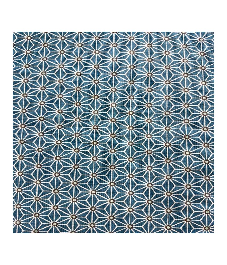 Tissu ENDUIT Saki canard
