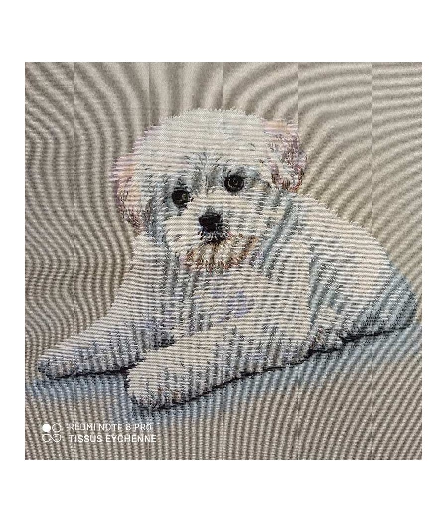 Carré Jacquard - 47x47 - Bébé Bichon - finition point bourdon