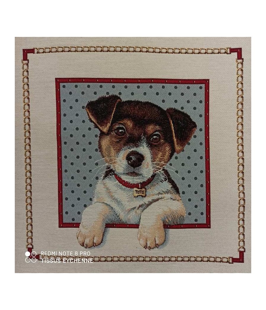 Carré jacquard - 47x47 - Chien Toto - Finition point bourdon