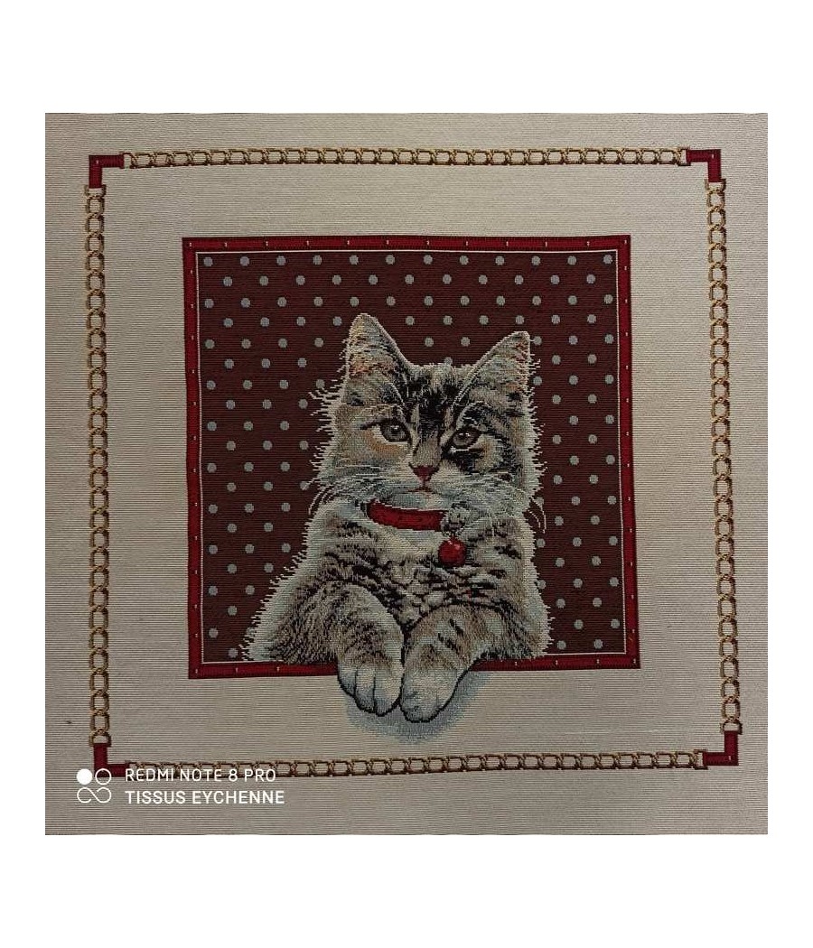 Carré jacquard - 47X47cm - Chat fenêtre - Finition point bourdon