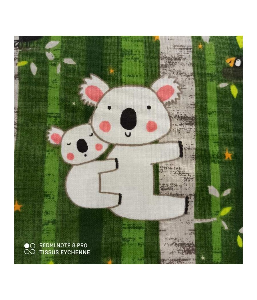 Tissu coton Koala sur Bambou vert