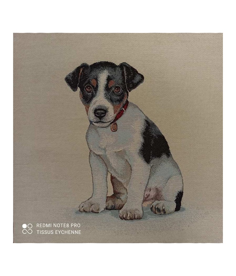 Carré Jacquard - 47X47 - Bébé Jack Russel - Finition point bourdon