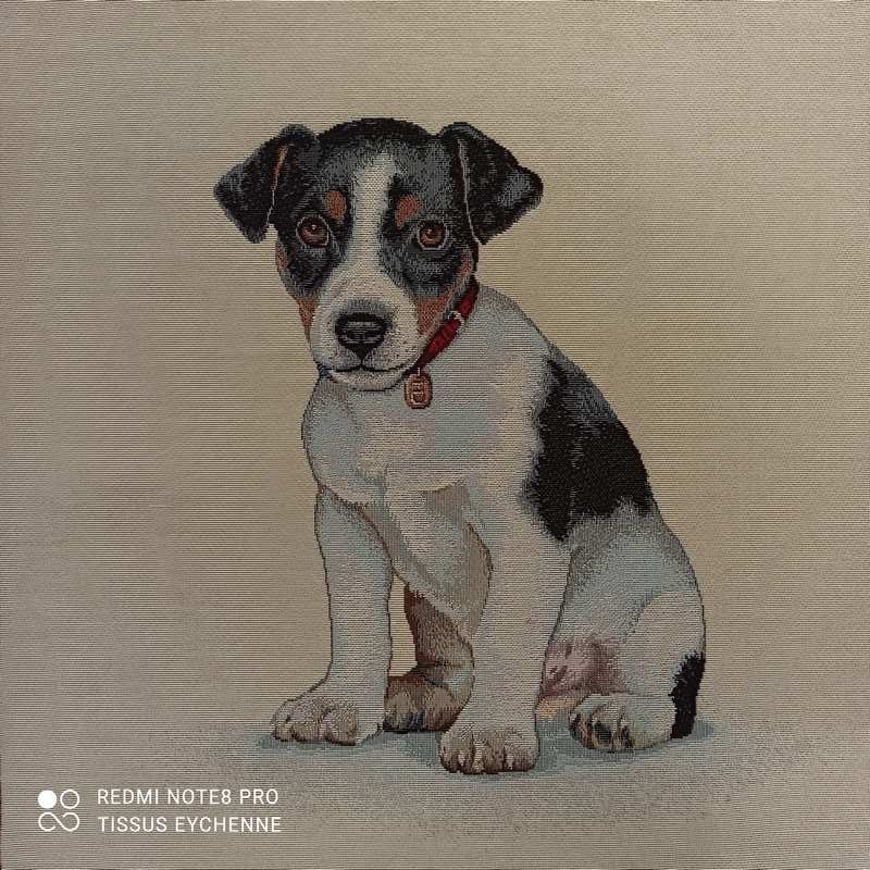 Coupon Tissu Jacquard Bebe Jack Russel
