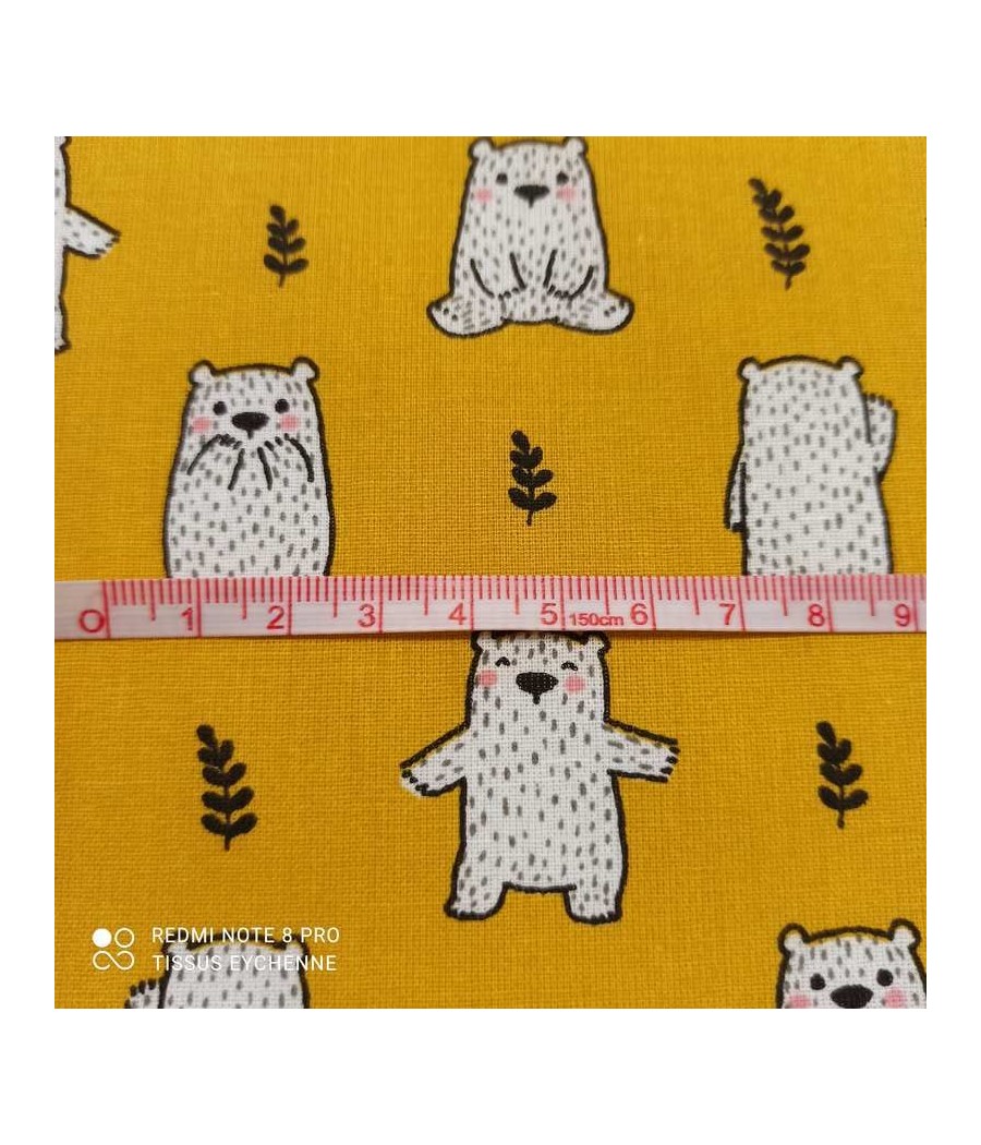 Coton Ourson Maturin -...