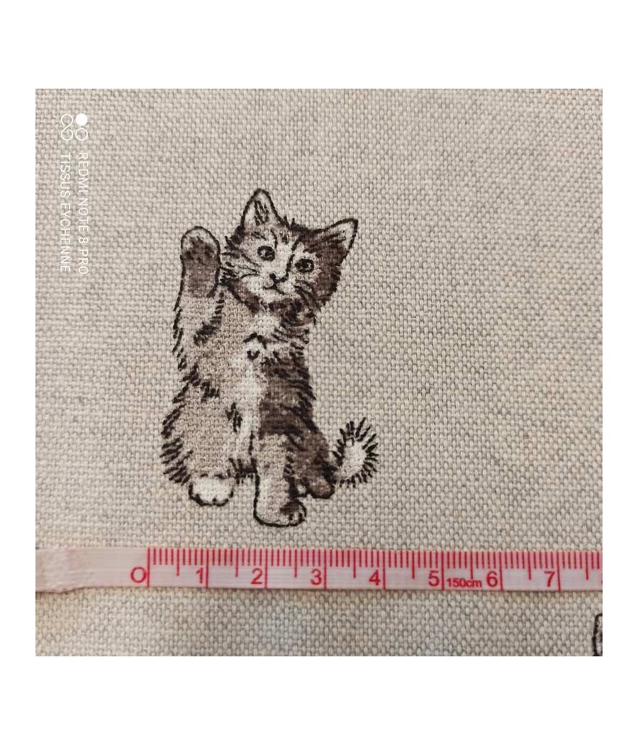 Tissu  petits chats Djupdjup