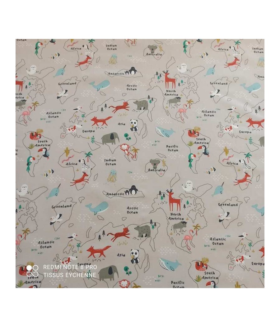 Coton Zoo Continent