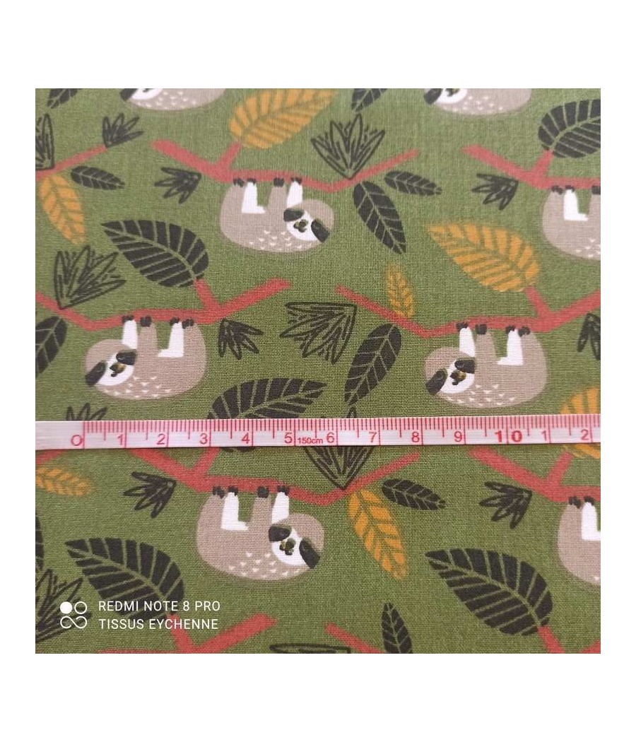 Tissu coton - paresseux - vert
