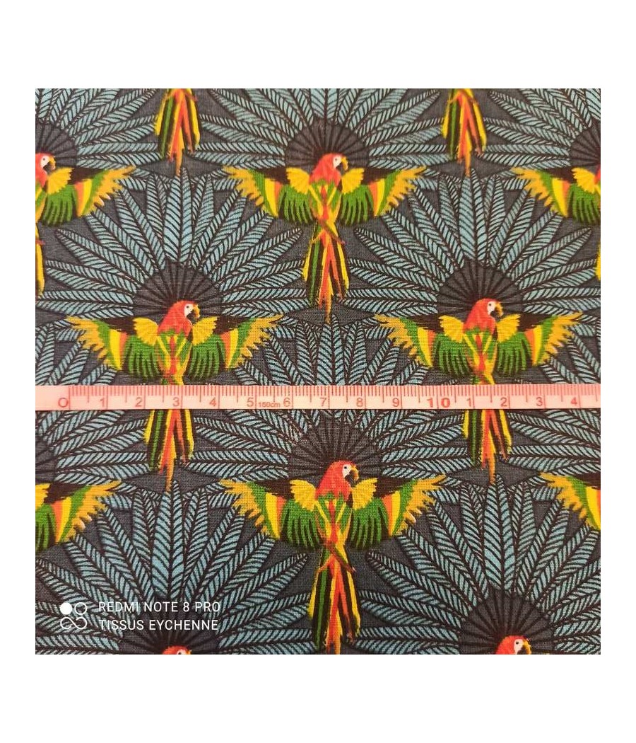 Tissu coton - Perroquet - bleu