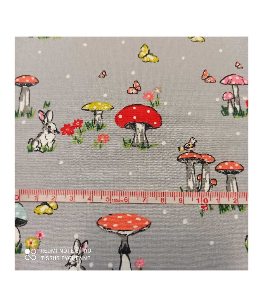 Popeline coton Champignon
