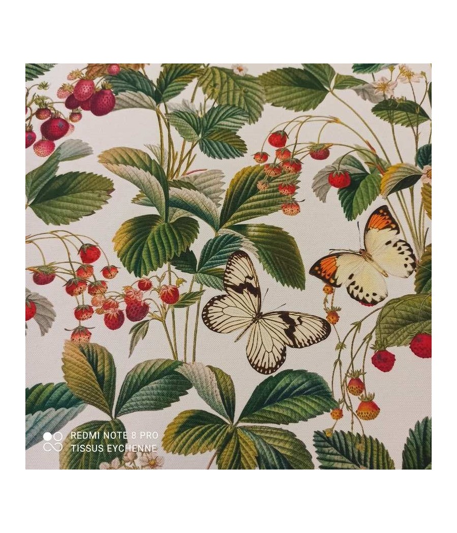 Tissu Fraise Papillon