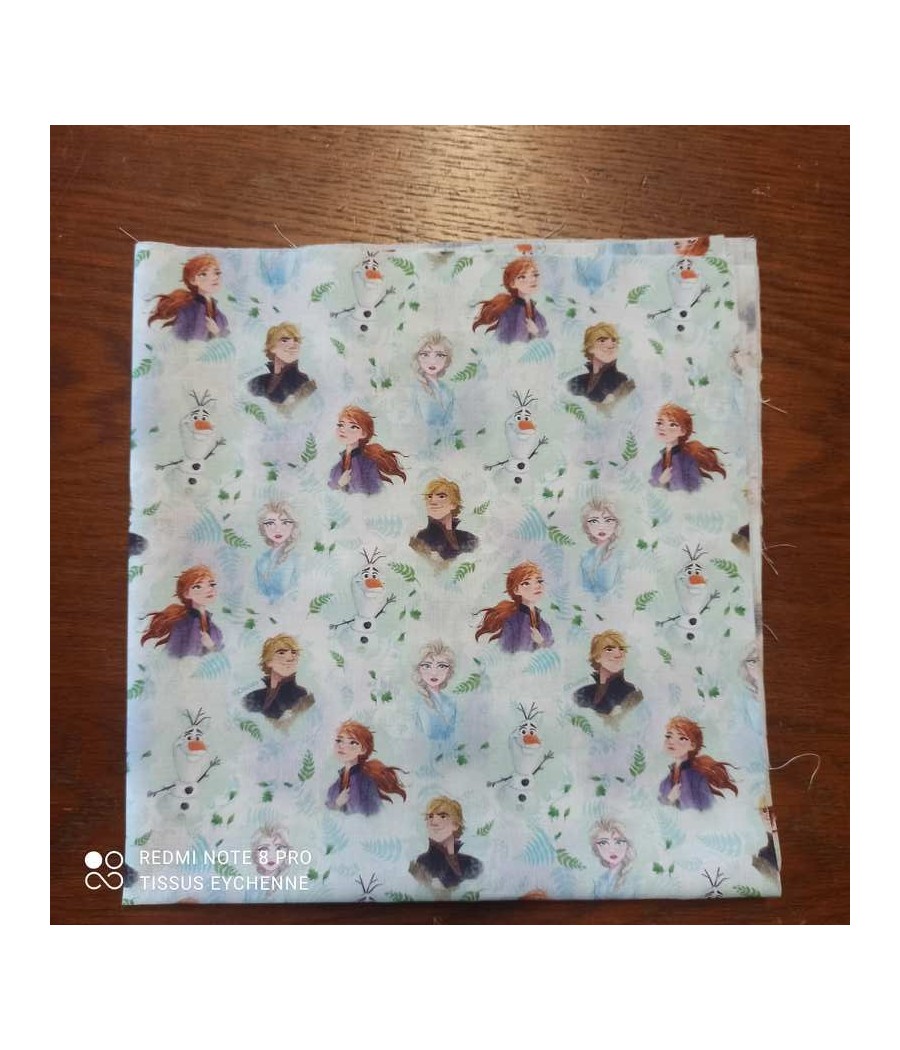 Coupon - coton Reine des neiges - 50x50cm