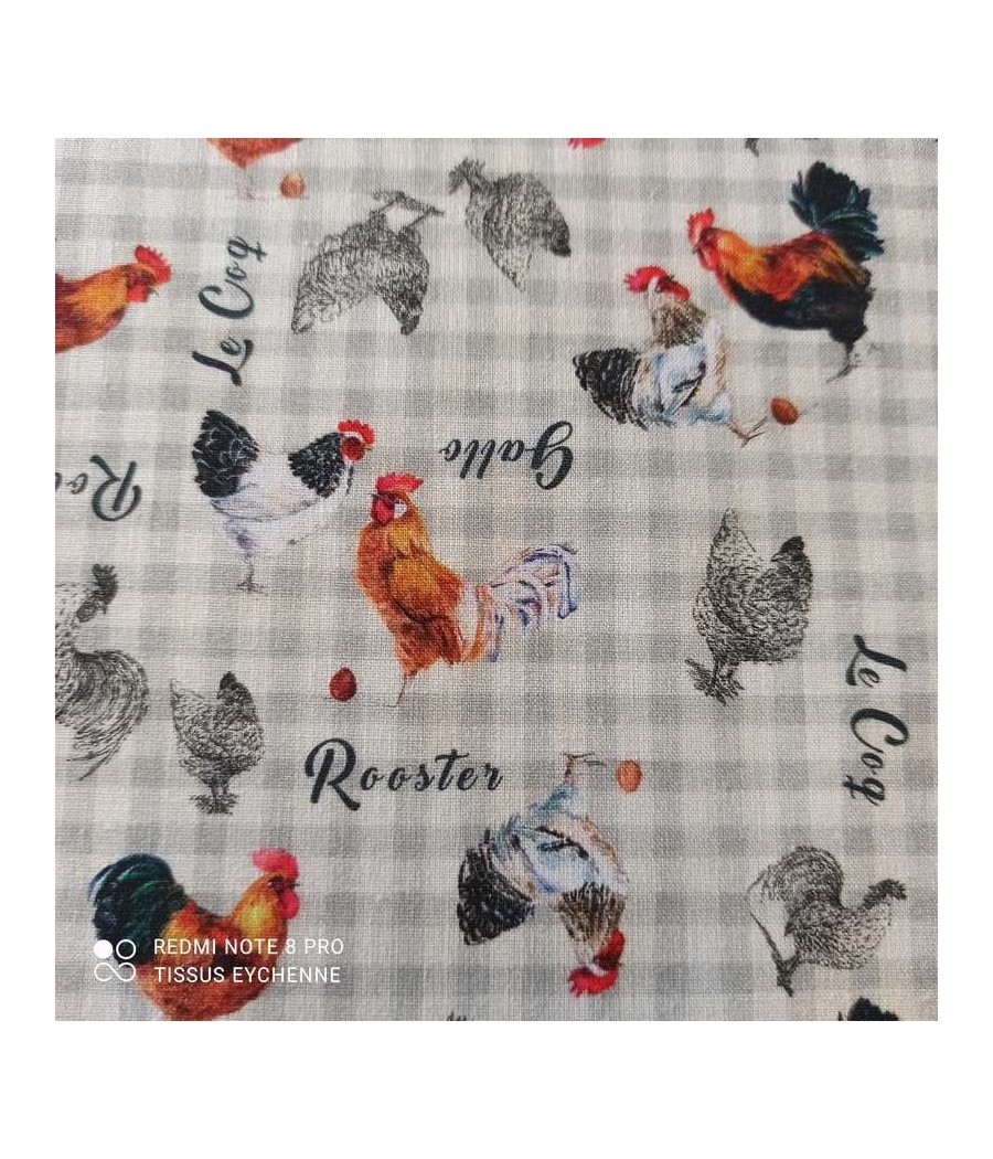 Coton Coq Vichy Gris